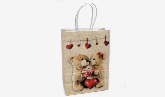 ΤΣΑΝΤΑ ΣΤΡΙΦΤΟ ΧΕΡΑΚΙ ΑΡΚΟΥΔΑΚΙ 15cm x 21cm 318#-C 0402107
